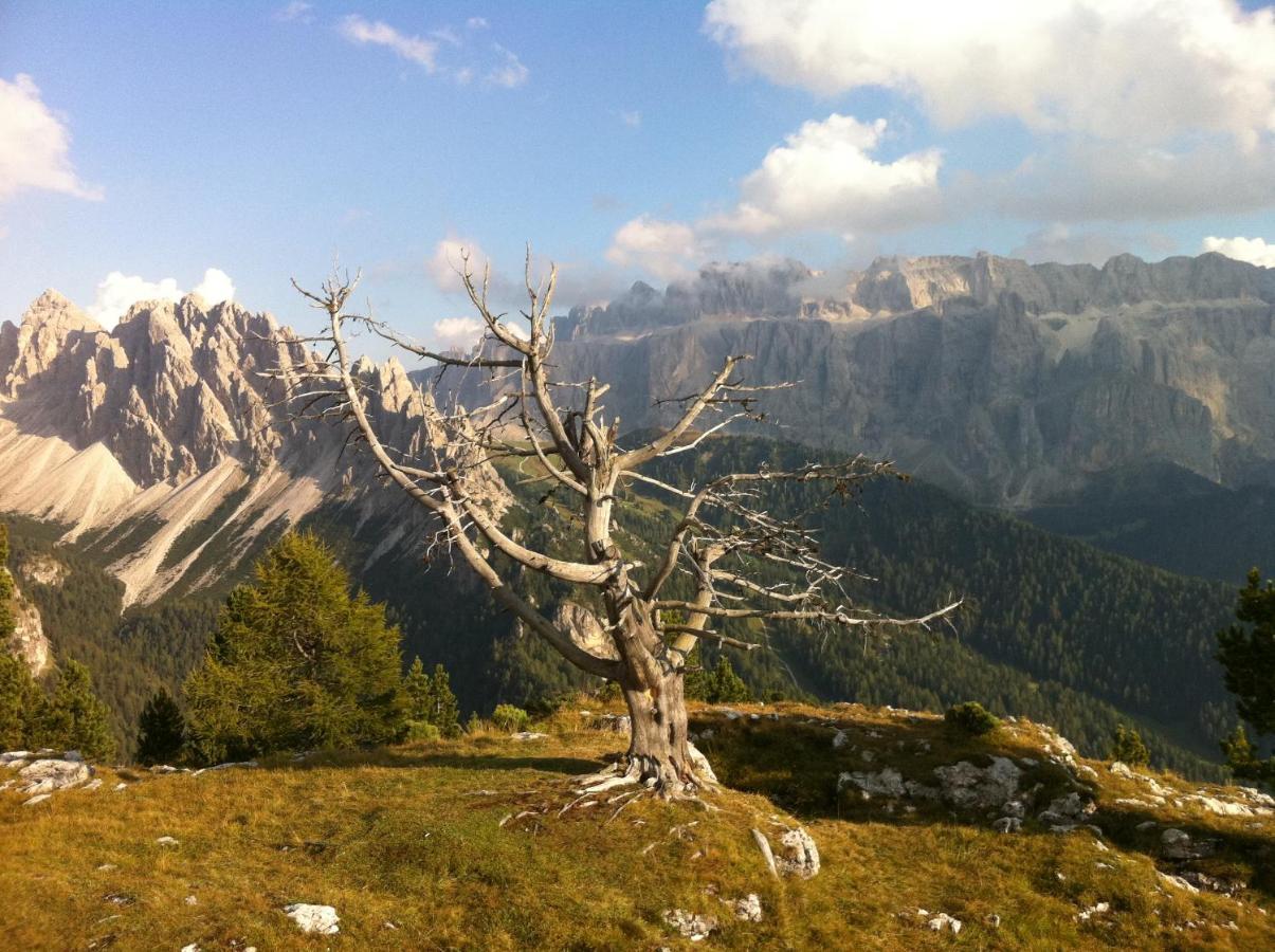 Piz Alpin B&B コルフォスコ エクステリア 写真